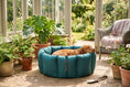 Load image into Gallery viewer, (Full Nest Teal with Granite)

