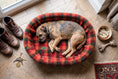 Load image into Gallery viewer, (Autumn Check)
