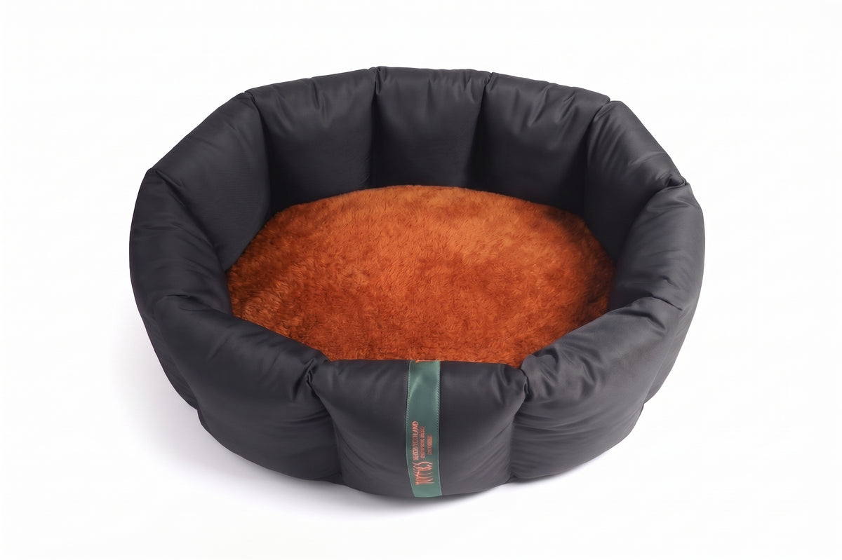 (Full Nest Black with Burnt Orange)