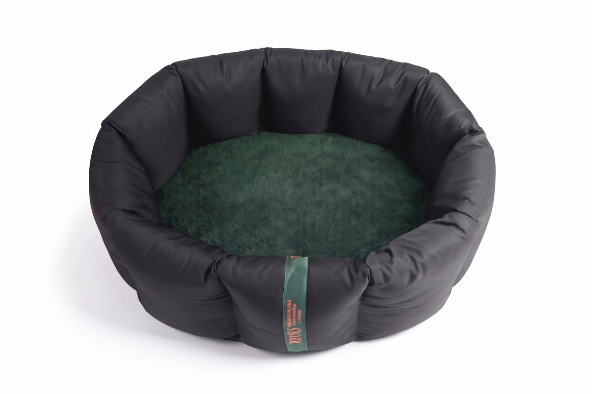 (Full Nest Black with British Racing Green)