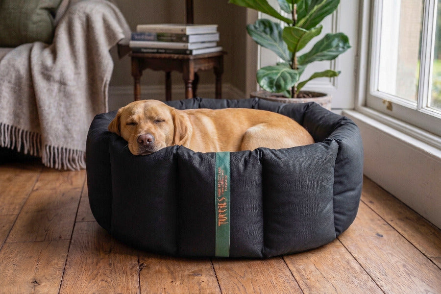 (Full Nest Black with Grey Dog Dryer)