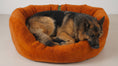 Load image into Gallery viewer, (Easy Access Burnt Orange)
