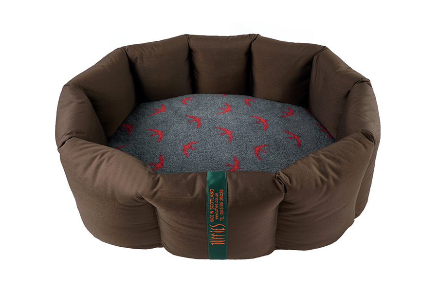 (Full Nest Chocolate with Red Swift)