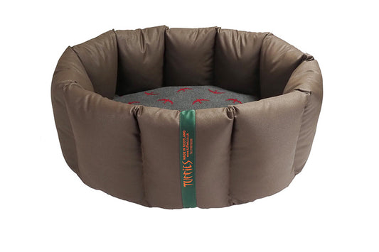 (Full Nest Chocolate with Red Swift)