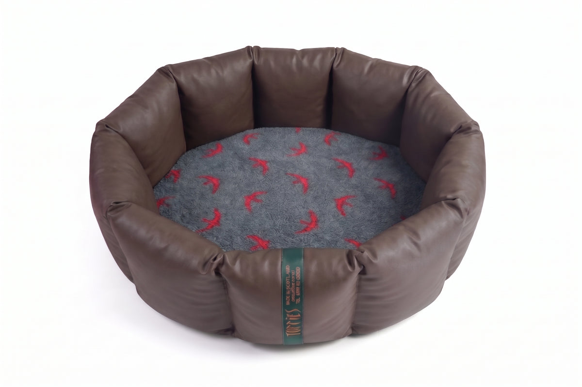(Full Nest Chocolate with Red Swift)