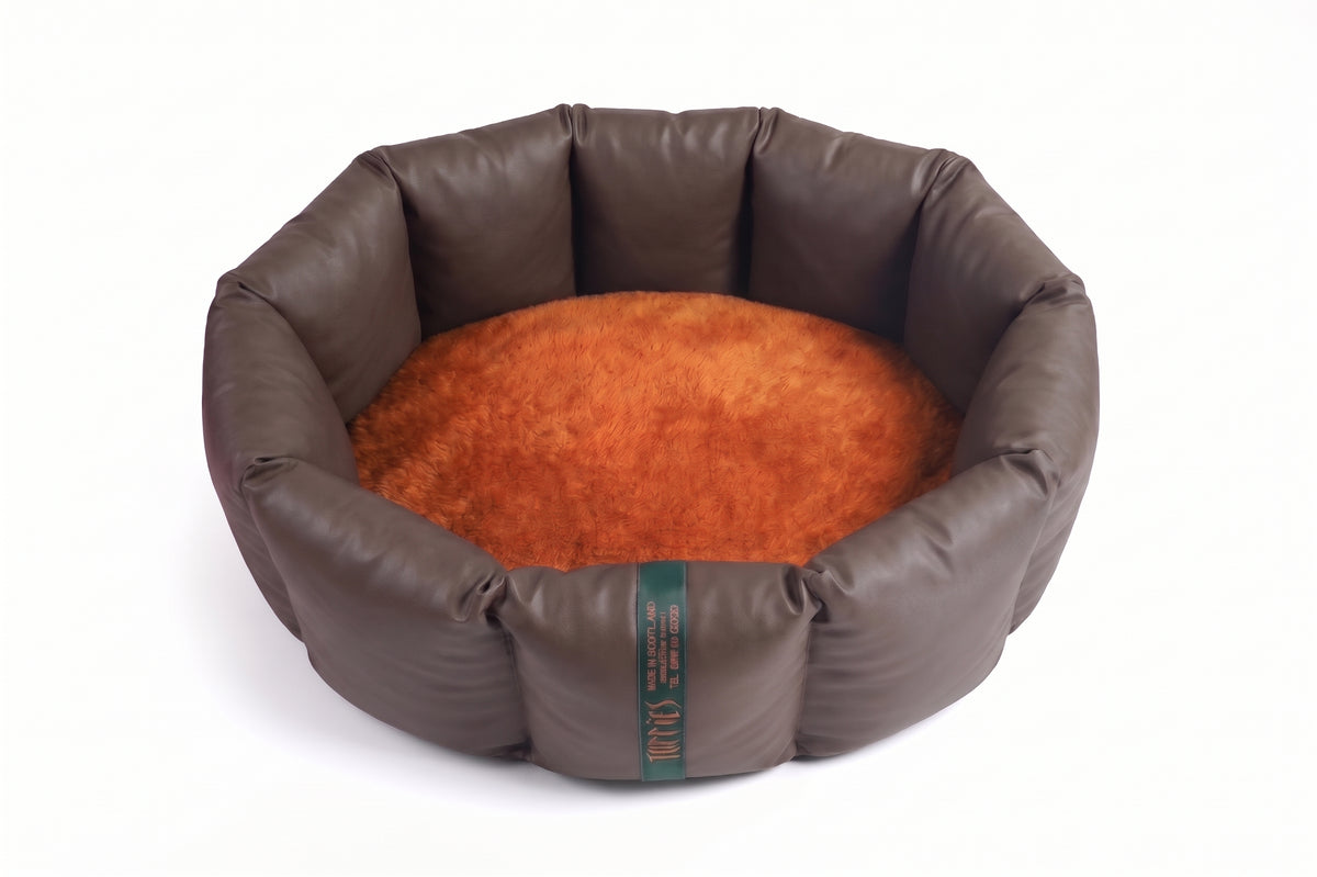 (Full Nest Chocolate with Burnt Orange)
