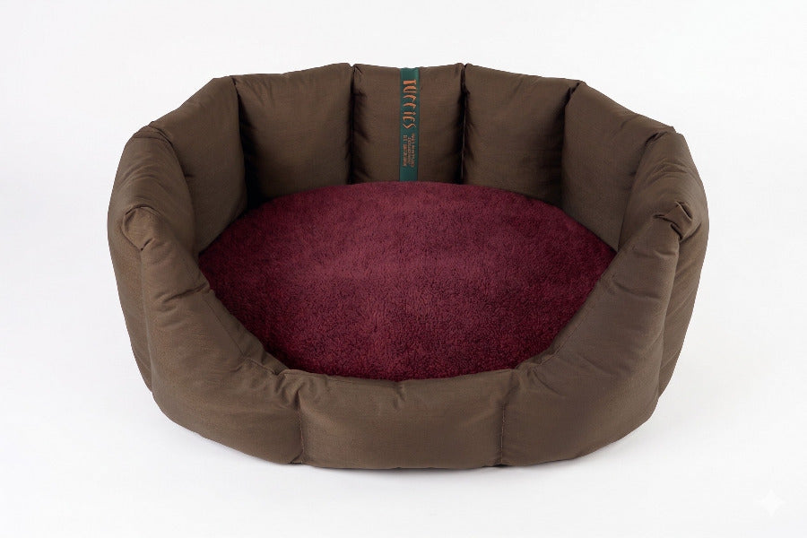 (Easy Access Chocolate with Burgundy)