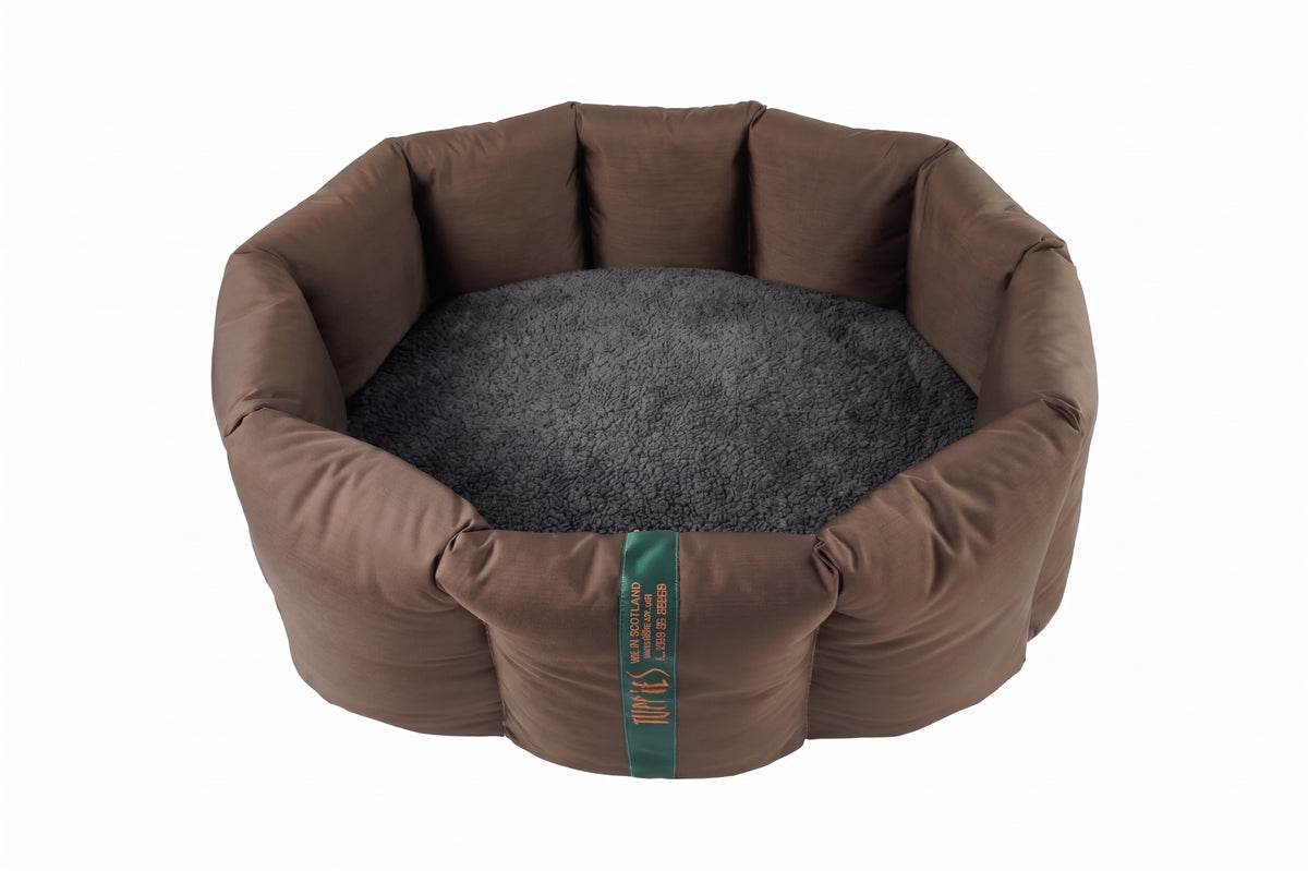 (Full Nest Chocolate with Grey)