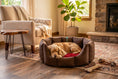 Load image into Gallery viewer, (Easy Access Chocolate with Red Dog Dryer)
