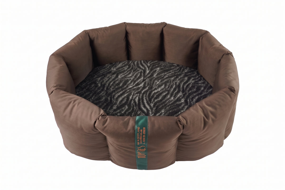 (Full Nest Chocolate with Zebra)