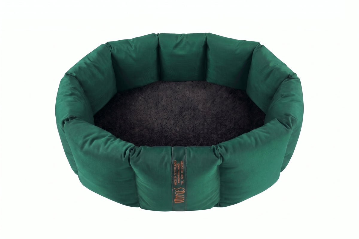 (Full Nest Emerald Green with Black)