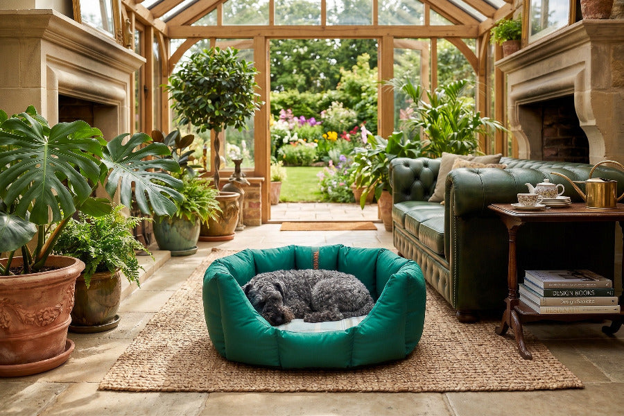 (Easy Access Emerald Green with By The Sea)