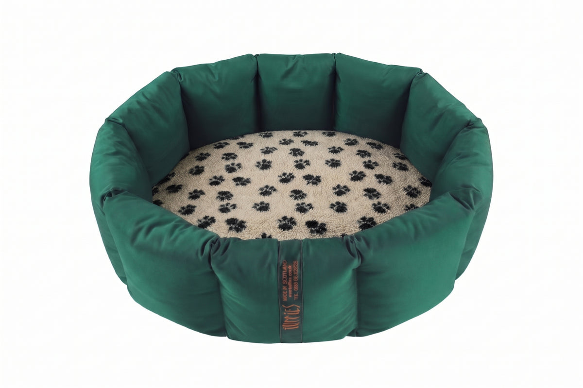 (Full Nest Emerald Green with Paw Print)