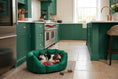 Load image into Gallery viewer, (Easy Access Emerald Green with Winter Warm)

