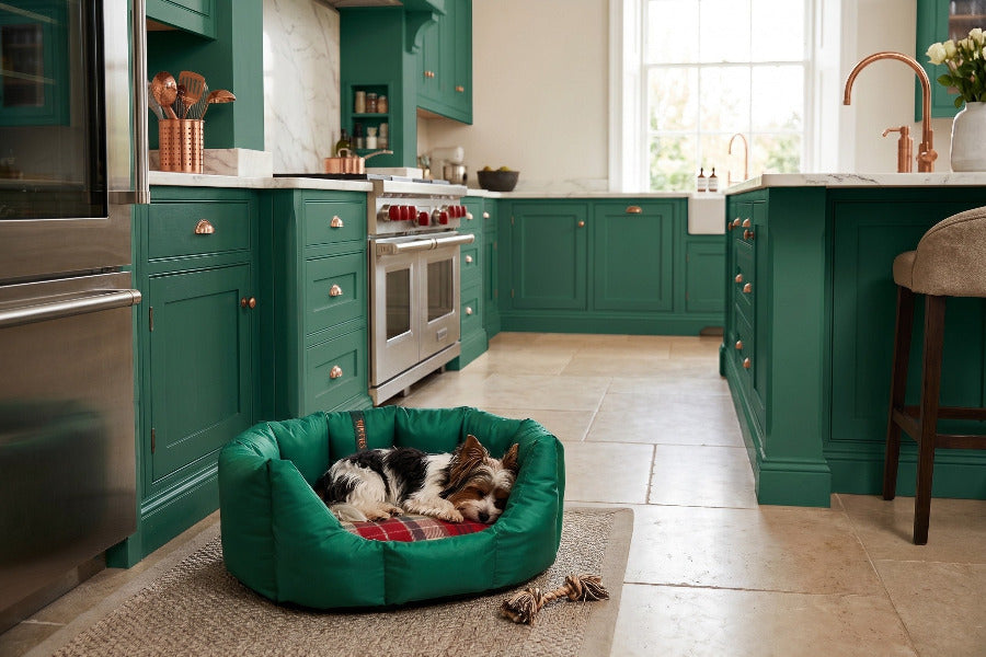 (Easy Access Emerald Green with Winter Warm)
