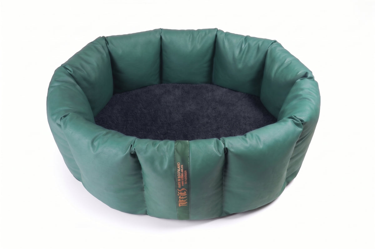 (Full Nest Green with Black)