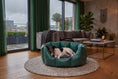 Load image into Gallery viewer, (Easy Access Green with Zebra)
