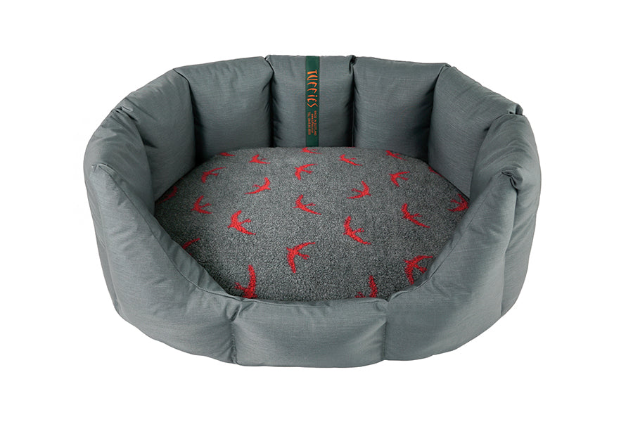 (Easy Access Grey with Red Swift)