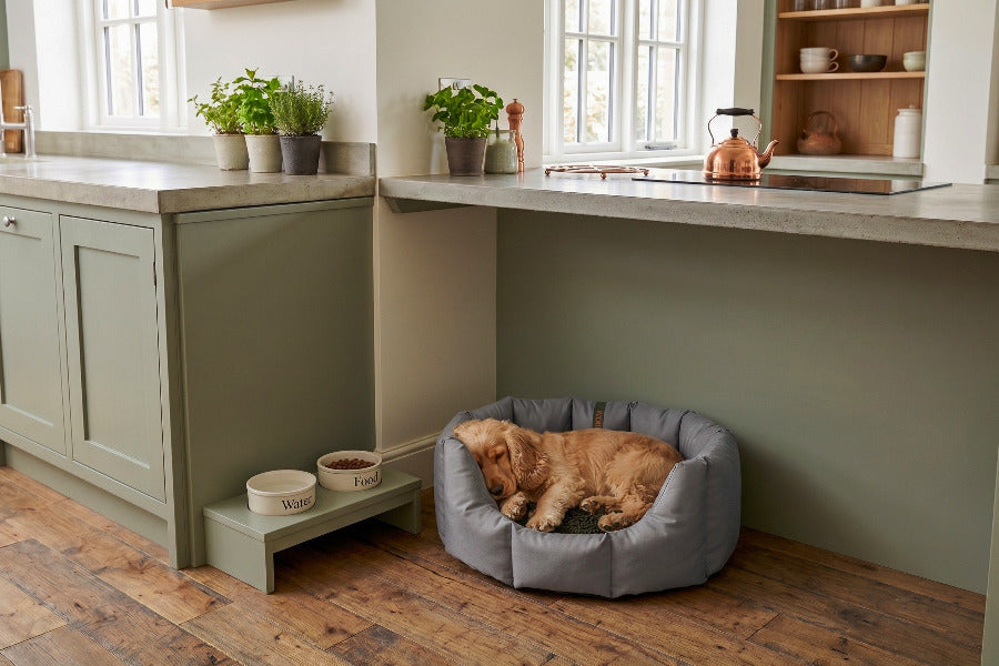 (Easy Access Grey with Brown Dog Dryer)