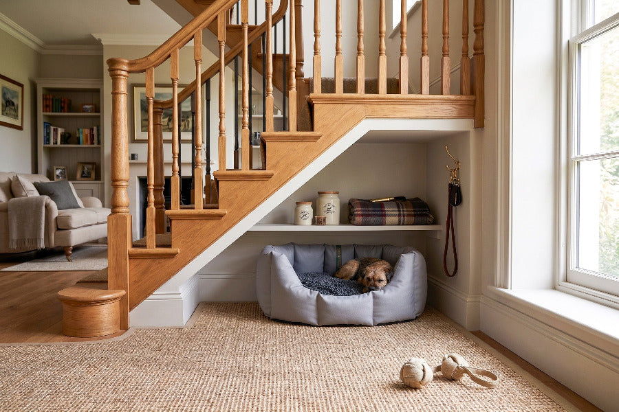 (Easy Access Grey with Grey Dog Dryer)