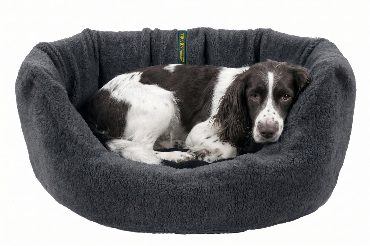 (Easy Access Grey)