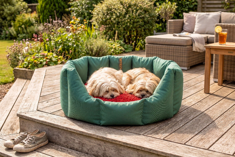 (Easy Access Green with Red Dog Dryer)