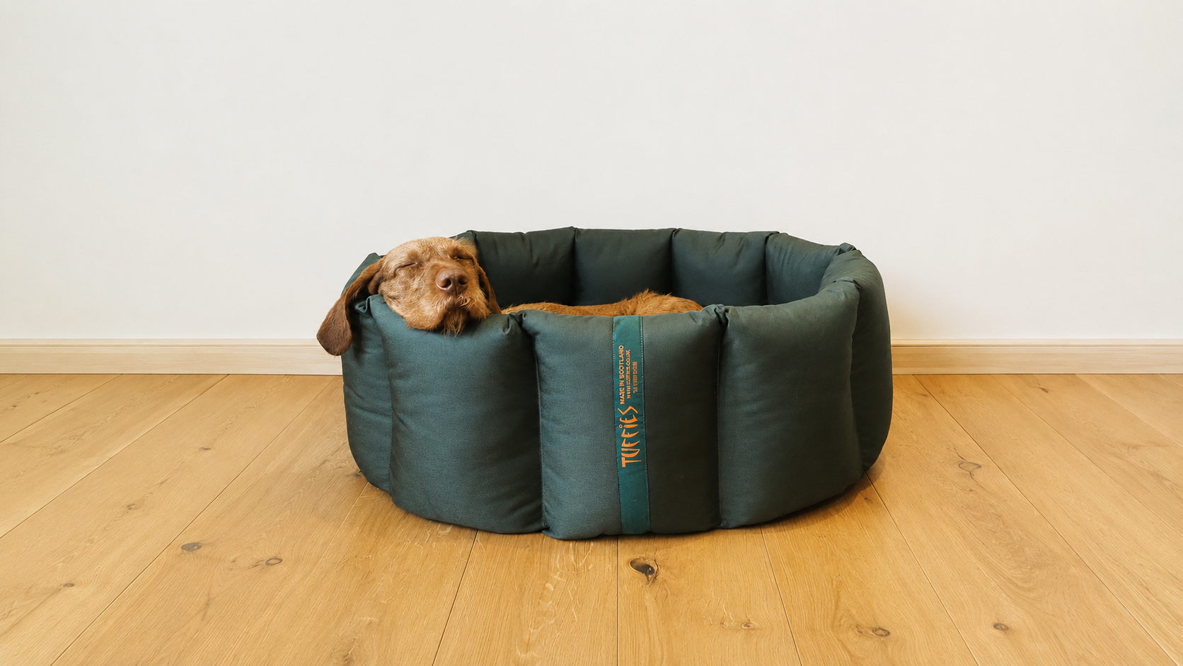 Dog lying in a green cushioned Tuffies orthopaedic nest dog bed on a wooden floor.