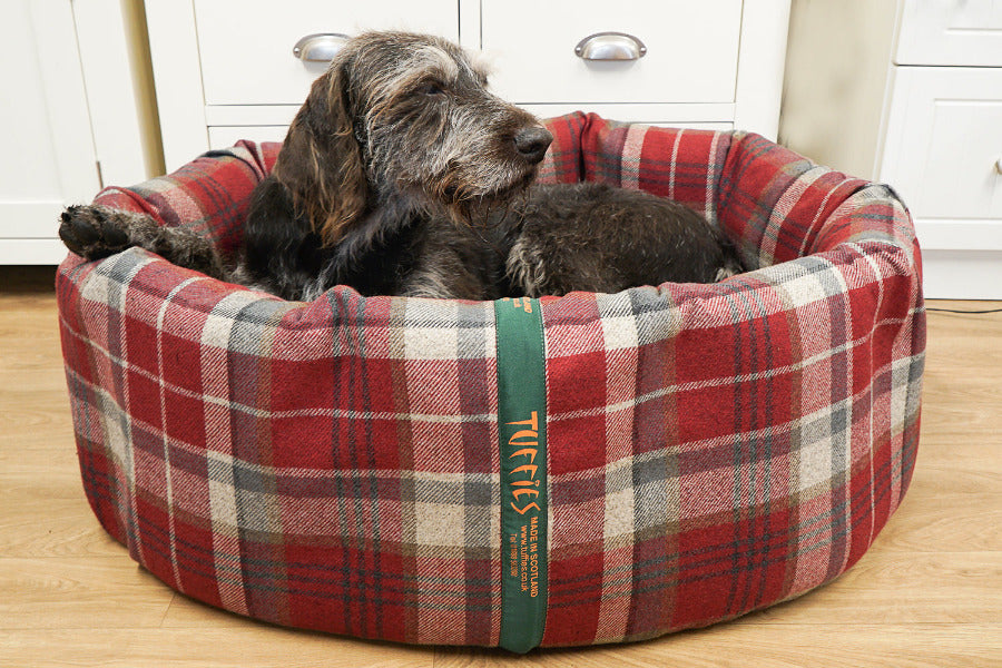 (Full Nest Winter Warm)