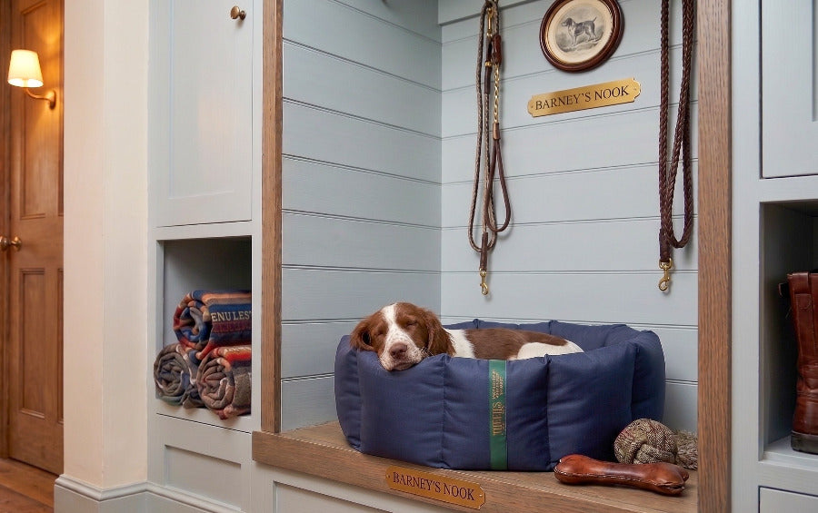 (Full Nest Navy with Brown Dog Dryer)