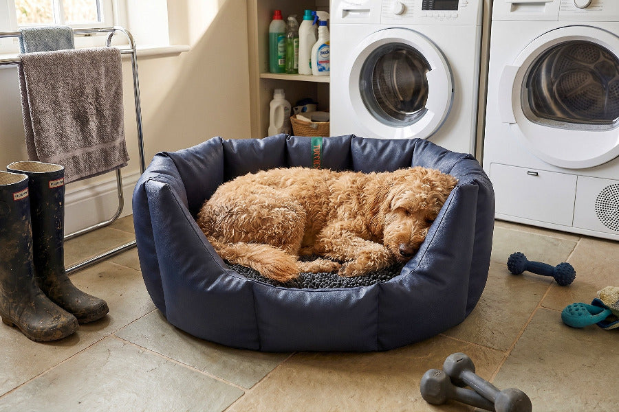 (Easy Access Navy with Grey Dog Dryer)
