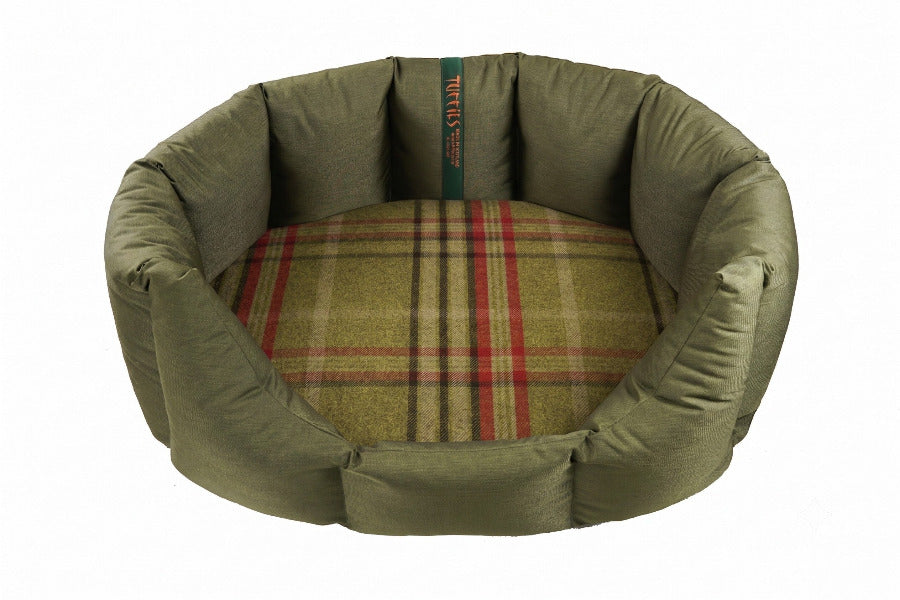 (Easy Access Olive with Harvest)
