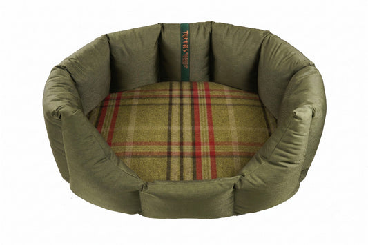 (Easy Access Olive with Harvest)