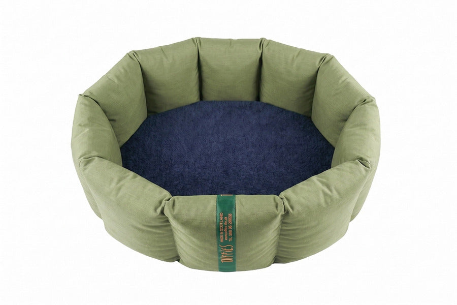 (Full Nest Olive with Midnight Navy)