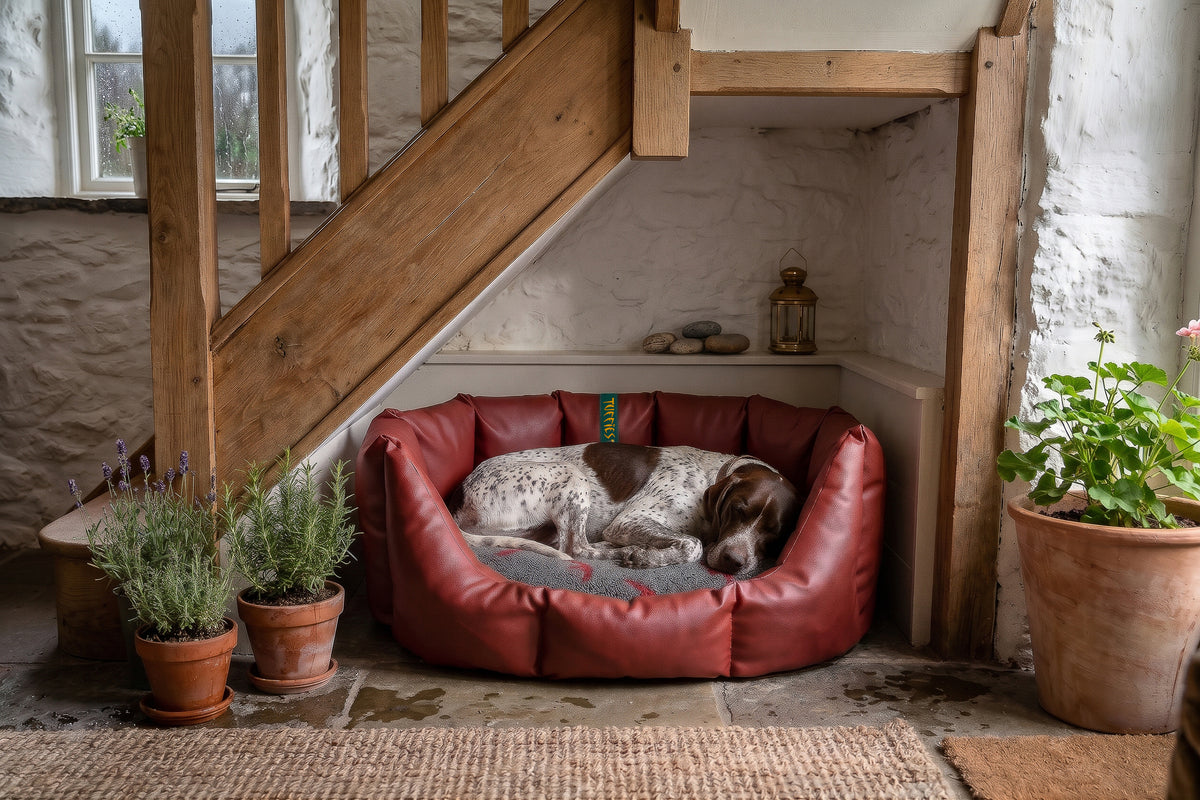 (Easy Access Russet with Red Swift)