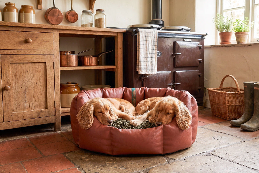 (Easy Access Russet with Brown Dog Dryer)