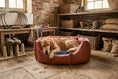 Load image into Gallery viewer, (Easy Access Russet with Navy Dog Dryer)
