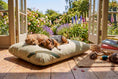 Load image into Gallery viewer, (Sage Dogs)
