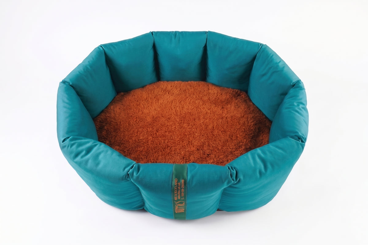 (Full Nest Teal with Burnt Orange)