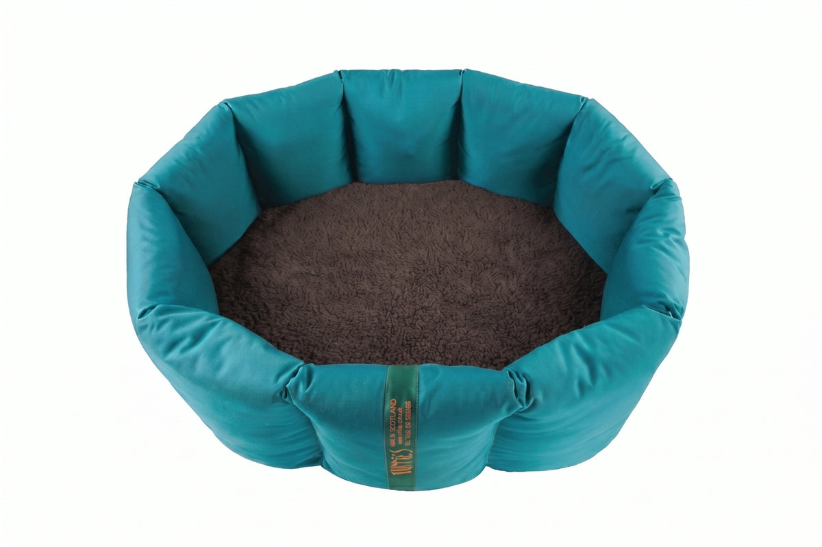 (Full Nest Teal with Brown)