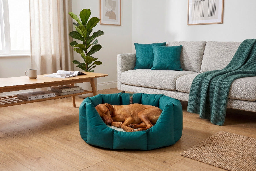 (Easy Access Teal with By The Sea)