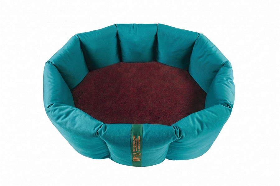 (Full Nest Teal with Burgundy)