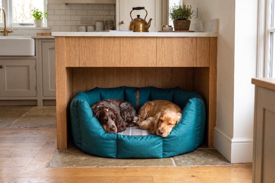(Easy Access Teal with Granite)
