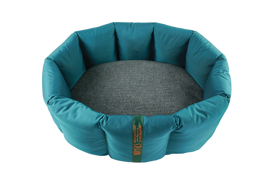 (Full Nest Teal with Grey)