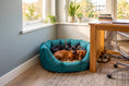 Load image into Gallery viewer, (Easy Access Teal with Harvest)
