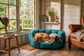 Load image into Gallery viewer, (Easy Access Teal with Sprigs)
