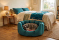 Load image into Gallery viewer, (Easy Access Teal with Winter Warm)
