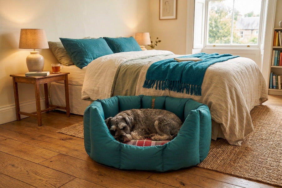 (Easy Access Teal with Winter Warm)
