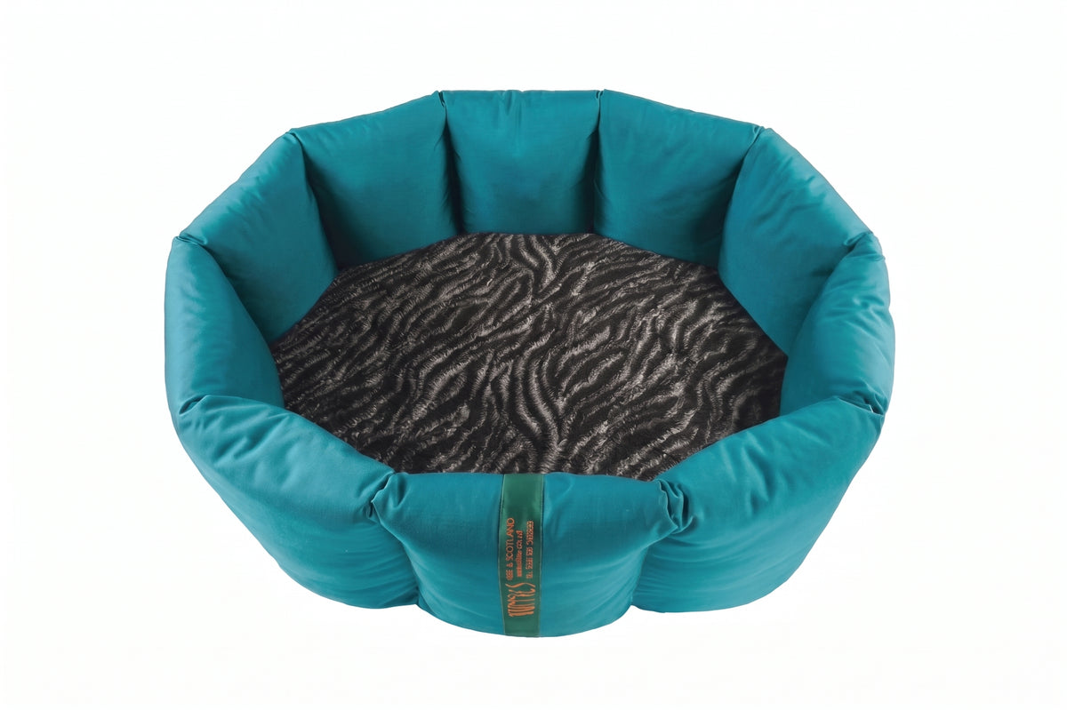 (Full Nest Teal with Zebra)