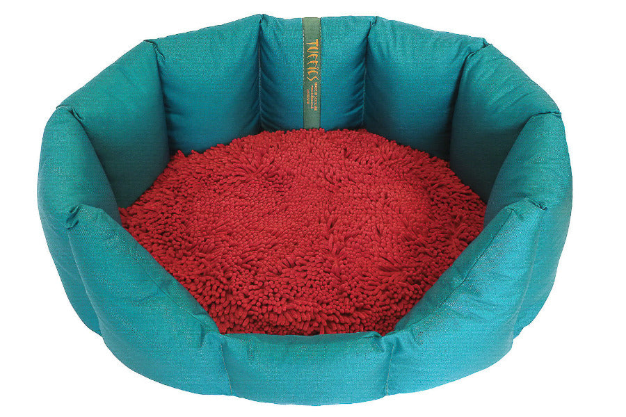 (Easy Access Teal with Red Dog Dryer)