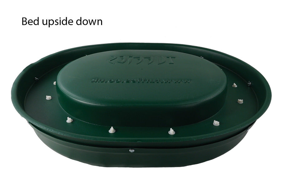 (Green)